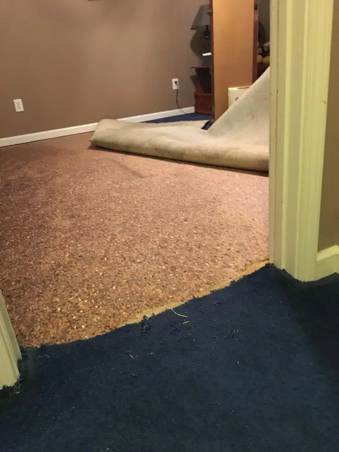 Carpet pad removal revealing water damage during Drying & Dehumidification in Lenoir City